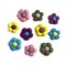 Buttons Galore 50+ Assorted Flower Power Buttons for Sewing &#x26; Crafts - Set of 6 Button Packs